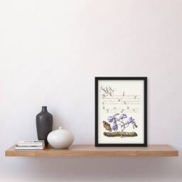 Artery8 Model Book of Calligraphy Framed Wall Art Butterfly Caterpillar & Flower in White - Size: A4 - thumbnail 2