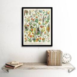 "Wee Blue Coo Millot Encyclopedia Page Flowers Plants 12x16"" Framed Wall Art Print - Size: W12"" x H16""" - thumbnail 2