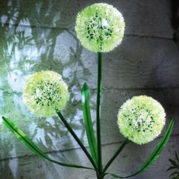 mysmartbuy Solar Allium Bloom Stake Light - Solar Powered Outdoor Garden Decor Flower Design Pathway Patio Lighting - 75 x 9cm - Size: 1 Pack - thumbnail 2