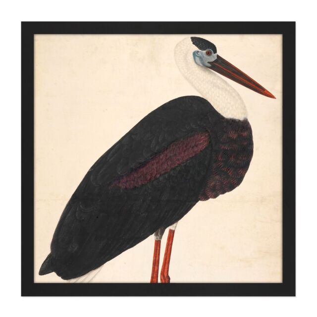 "Artery8 Wall Art Print Black Stork In A Landscape Indian Watercolour Bird Painting Square Framed Picture 16X16 Inch - Size: W16"" x H16""" - image 1