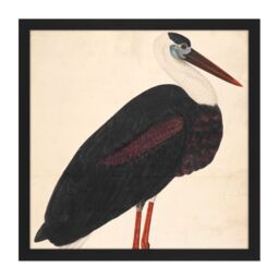 "Artery8 Wall Art Print Black Stork In A Landscape Indian Watercolour Bird Painting Square Framed Picture 16X16 Inch - Size: W16"" x H16""" - thumbnail 1