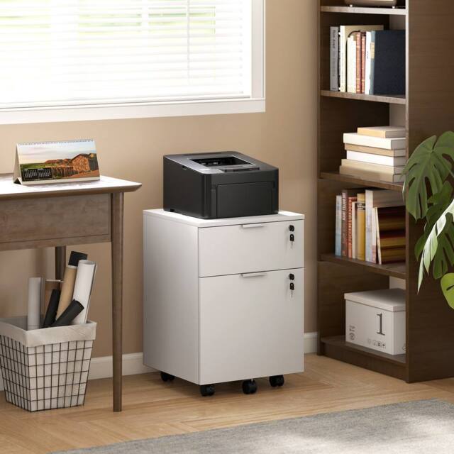 HOMCOM 2 Drawer Filing Cabinet with Adjustable Hanging Bars for A4 & Letter in White - image 1