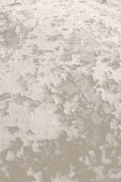 Catherine Lansfield Crushed Velvet Duvet Cover Set - Soft, Durable & Luxury Finish in Natural - Size: Super King - thumbnail 3