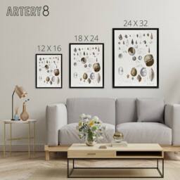 "Artery8 James De Kay Seashell Variety Illustration Framed Canvas Art Print in White - Size: W12"" x H16""" - thumbnail 4