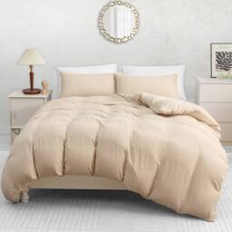 Pamposh Pre Washed Microfibre Duvet Cover Sets Reversible Quilt Covers in Beige - Size: Single