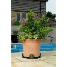 Jardinopia Green Man Plant Pot Feet - Set of 3 - L5.5 x W8.5 x H8.5 cm - thumbnail 6