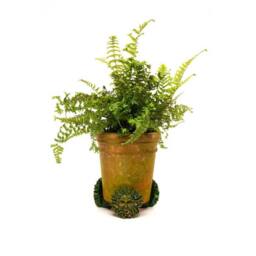 Jardinopia Green Man Plant Pot Feet - Set of 3 - L5.5 x W8.5 x H8.5 cm - thumbnail 5