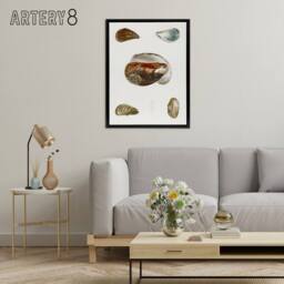 "Artery8 James De Kay Different Types of Mussel Seashells Framed Canvas Art in White - Size: W12"" x H16""" - thumbnail 3