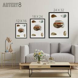 "Artery8 James De Kay Different Types of Mussel Seashells Framed Canvas Art in White - Size: W12"" x H16""" - thumbnail 4