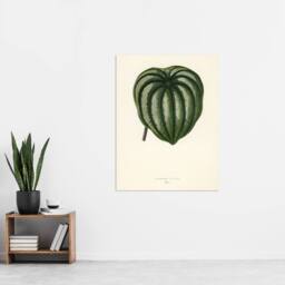 "Artery8 Vintage Botanical Pepper Elder Leaf Fawcett Wall Art Poster Print in Beige - Size: W18"" x H24""" - thumbnail 4