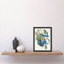 Artery8 John James Audubon Framed Wall Art Florida Jay & Persimmon Tree in White - Size: A4 - thumbnail 2