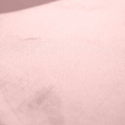 Bravich LTD Ron Velvet Dining Chair in Pink - thumbnail 9