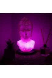 KDMD Buddha Bust Lamp with Cherry Crackle Oval Stand in Dusty Pink - thumbnail 2