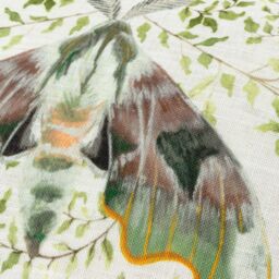 Evans Lichfield Shugborough Moth Traditional Polyester Filled Cushion - Size: 30 cm x 50 cm - thumbnail 4