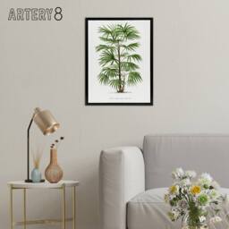 "Artery8 Rhapis Flabelliformis Palm Tree Kerchove Framed Canvas Wall Art Print in White - Size: W12"" x H16""" - thumbnail 3
