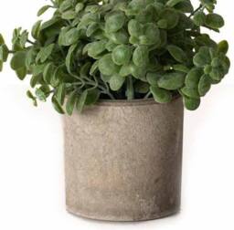 Lemon Pavilion Furniture and Decor Basil Plant in Stone Effect Pot Artificial Plant - L16 x W16 x H15 cm in Green - thumbnail 2