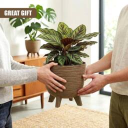 KORVIXA Brown Plant Pot with Legs 29cm Indoor Outdoor Planter - thumbnail 4