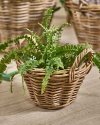 Dibor Traditional Lined Extra Small Wicker Planter Basket with Handles in Grey