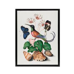 "Artery8 Hummingbird Cyclamen Butterflies Seashells Bolton Framed Canvas Art - Size: W12"" x H16""" - thumbnail 1