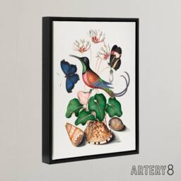 "Artery8 Hummingbird Cyclamen Butterflies Seashells Bolton Framed Canvas Art - Size: W12"" x H16""" - thumbnail 2