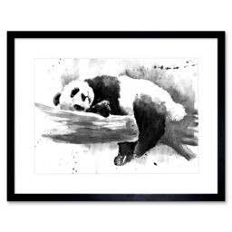 "Artery8 Wall Art Print Panda Sleeping Watercolour Art Framed 9x7 inch in Black - Size: W7"" x H9""" - thumbnail 1