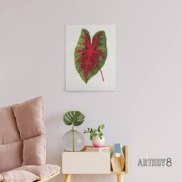 "Artery8 AF Lydon B Fawcett Caladium Bicolor Splendens Leaf Canvas Art Print in White - Size: W12"" x H16""" - thumbnail 3