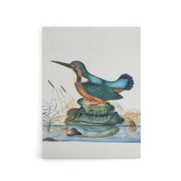 "Artery8 Common Kingfisher Vintage Illustration Bolton Canvas Wall Art - Size: W18"" x H24""" - thumbnail 1