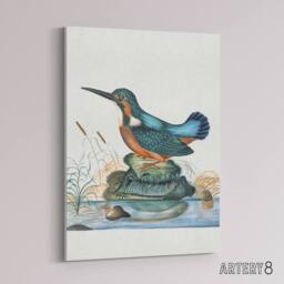 "Artery8 Common Kingfisher Vintage Illustration Bolton Canvas Wall Art - Size: W18"" x H24""" - thumbnail 2