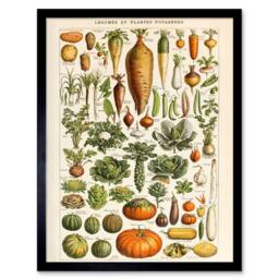 "Artery8 Millot Encyclopedia Page Vegetables Legumes 12x16"" Framed Art Print - Size: W12"" x H16""" - thumbnail 1
