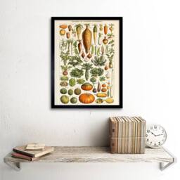 "Artery8 Millot Encyclopedia Page Vegetables Legumes 12x16"" Framed Art Print - Size: W12"" x H16""" - thumbnail 2