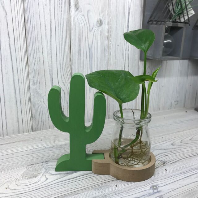 KDMD Hydroponic Home Decor - Cactus Pot in Green - image 1
