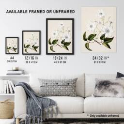 "Artery8 New Zealand Puawananga Clematis Flowers Featon Wall Art Poster Print in Beige - Size: W18"" x H24""" - thumbnail 3
