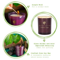 Nicola Spring 130g Cinnamon Orange Soy Wax Candle - Spiced Festive Glass Jar Gift in Purple - thumbnail 3