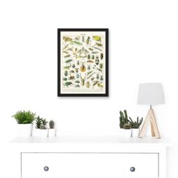 Artery8 Millot Encyclopedia vintage Flying Insects Beetles Nature Artwork Framed Wall Art Print A4 in Black - thumbnail 2
