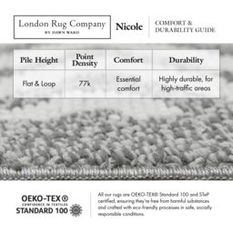 London Rug Company Nicole Luxury Indoor & Outdoor Flat Pile Rug in Grey - Size: 240 cm x 340 cm - thumbnail 6