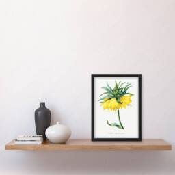 Artery8 Pierre J Redoute Framed Wall Art Print Yellow Crown Imperial Flower in White - Size: A4 - thumbnail 2