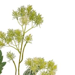 Hill Interiors French Meadow Rue Artificial Flower Spray in Green - thumbnail 2