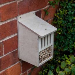 Buttercup Farm Bug Box Kit - Plywood - L15 x W13 x H23 cm in Brown - thumbnail 4
