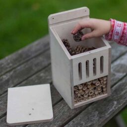 Buttercup Farm Bug Box Kit - Plywood - L15 x W13 x H23 cm in Brown - thumbnail 2