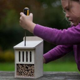 Buttercup Farm Bug Box Kit - Plywood - L15 x W13 x H23 cm in Brown - thumbnail 3
