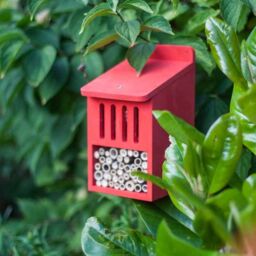Buttercup Farm Bug Box Kit - Plywood - L15 x W13 x H23 cm in Brown - thumbnail 5