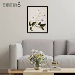 "Artery8 New Zealand Puawananga Clematis Flowers Featon Framed Canvas Wall Art in Beige - Size: W12"" x H16""" - thumbnail 3