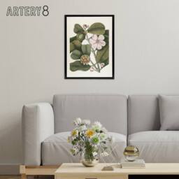 "Artery8 Balsam Tree Flower Vintage Botanical Catesby Black Framed Canvas Art in Green - Size: W12"" x H16""" - thumbnail 3