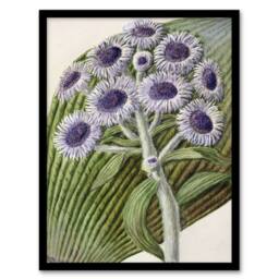 "Artery8 New Zealand Antarctic Daisy Flowers Featon Framed Wall Art Print in Beige - Size: W12"" x H16""" - thumbnail 1