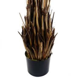 Leaf 120cm Cycas Palm Tree UV Resistant Outdoor in Green - thumbnail 4
