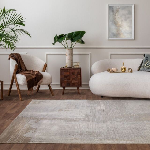 The Rug Shop UK Silver Modern Luxurious Easy to clean Machine Made Abstract Abstract Area Rug - Size: 200 cm x 290 cm - image 1