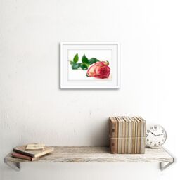 "Artery8 Wall Art Print Single Pink Rose Romantic Flower Framed in White - Size: W7"" x H9""" - thumbnail 2