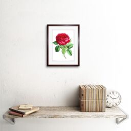 "Artery8 Wall Art Print Flower Rose Red Art Framed 9x7 inch in Brown - Size: W7"" x H9""" - thumbnail 2