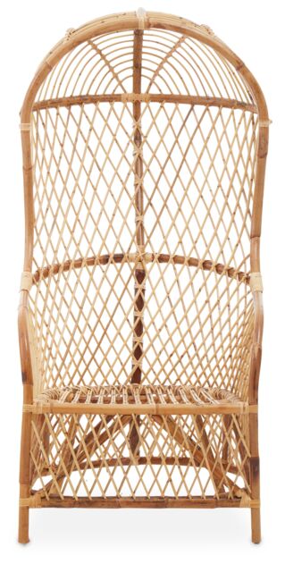 Orsina Brown Natural Rattan Canopy High Back Chair, Rattan Arm Chair with Sun Shade, Hand-Woven Rattan Patio Chair - Size: Armchair - image 1