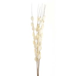 Hill Interiors Bouquet Of Dried Thlaspi Arvense Artificial Flower in White - thumbnail 1